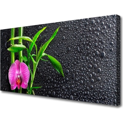 Obraz Canvas Bambus kvet kvapky 100x50 cm