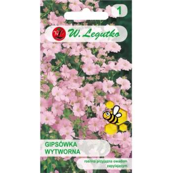 W. Legutko Елегантна розова гипсофила