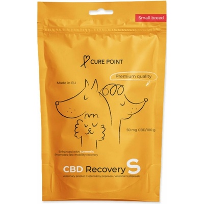 Curepoint CBD Recovery S 100 g
