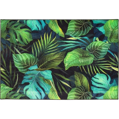 Balta Monstera Listy palmy zelený
