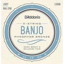 D'Addario EJ69B