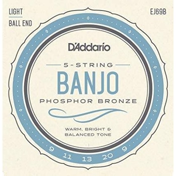 D'Addario EJ69B