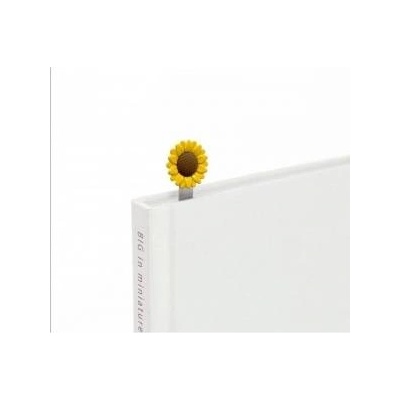 Metalmorphose Folder for book