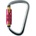 Canis AZ 014T