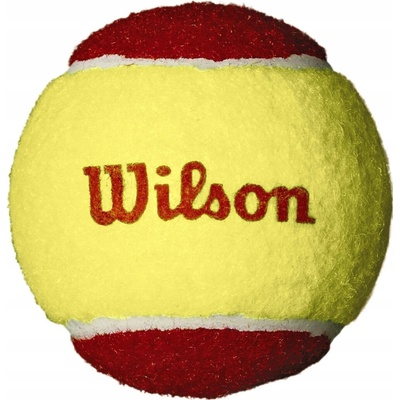 Wilson Starter 12 ks