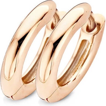 Blush Дамски златни обеци Blush 7133RGO (7133RGO)