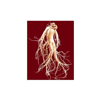 Eleuterokok Sibiřský ženšen kořen 50g