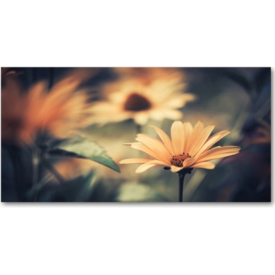 Foto-obraz fotografie na skle jarná kvet 100x50 cm