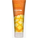 Desert Essence kondicionér Mango 236 ml