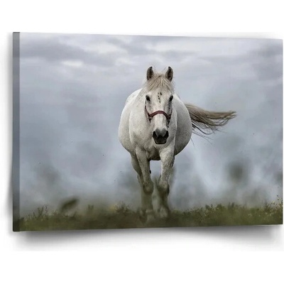 Sablio Obraz Biely kôň 3 - 90x60 cm
