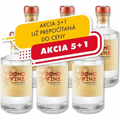 St. Nicolaus Domovina Marhuľovica 42% 0,7 l (čistá fľaša)