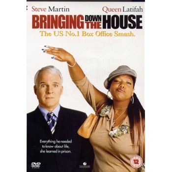 Bringing Down The House DVD