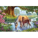 Schmidt Spiele - Puzzle Horses in the river - 150 piese