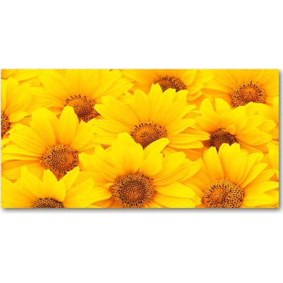 Foto obraz sklo tvrzené slnečníky 100x50 cm