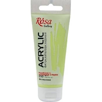 Rosa Gallery АКРИЛНА боя Pistachio (650) 60 ml 1 бр (3241650)