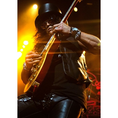 Plagát, Obraz - Guns n Roses, 26.7 × 40 cm