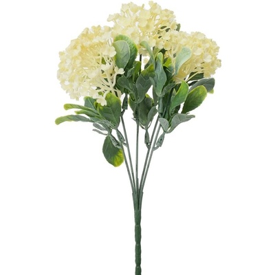 ZELEŇ VIBURNUM KRÉMOVÉ 30CM
