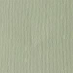 Fabriano Картон Elle Erre, 70 x 100 cm, 220 g/m2, № 101, бежов (46470101/10_PANNA)
