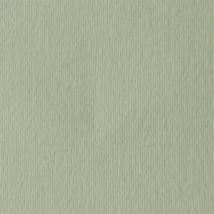 Fabriano Картон Elle Erre, 70 x 100 cm, 220 g/m2, № 101, бежов (46470101/10_PANNA)