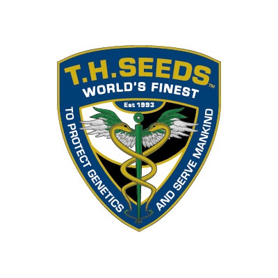 T.H. Seeds Bubblegum semena neobsahují THC 5 ks