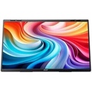 Acer Portable PD243YEb