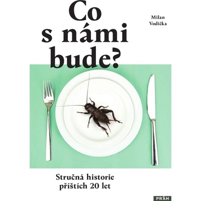 Co s námi bude - Milan Vodička