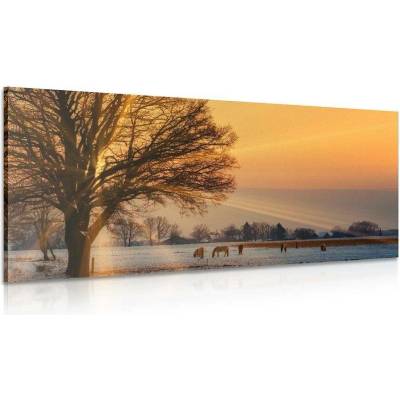 Obraz koně v zasněžené krajině - 120x60