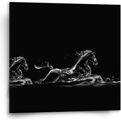 Sablio Obraz Vodní kůň Varianta: 50x50cm