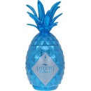 Piñaq Blue 17% 1 l (čistá fľaša)