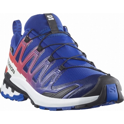 Salomon Xa Pro 3D V9 Gore-Tex Equipe Размер на обувките (ЕС): 44 /