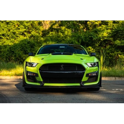 Jízda ve Fordu Mustang GT 5.0 Shelby paket