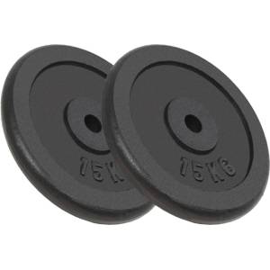 vidaXL Дискове за тежести, 2 бр, 2x15 кг, чугун (91396)