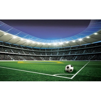 Postershop Fototapeta vliesováFotbalový stadion 5 rozměry 254x368 cm