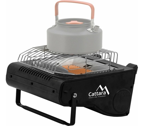 Cattara 13597
