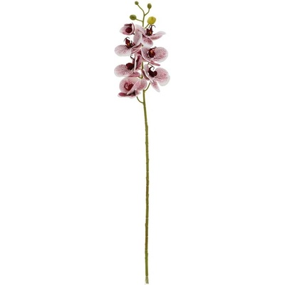 KS ORCHIDEA x7 73CM BORDOVO-BIELA