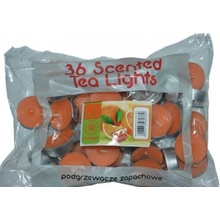 Admit Tea Lights Orange 36 ks