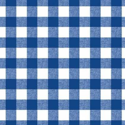 Impol Trade Ubrus PVC 084D káro velké modro-bílé návin 20 mx140 cm
