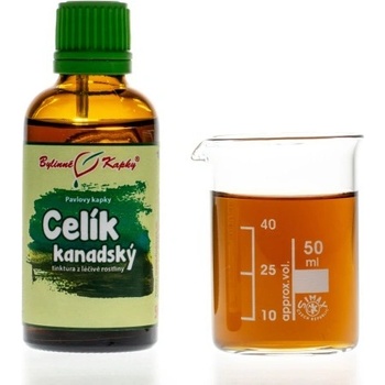 Bylinné kapky Celík zlatobyľ kanadský bylinné kvapky tinktúra 50 ml