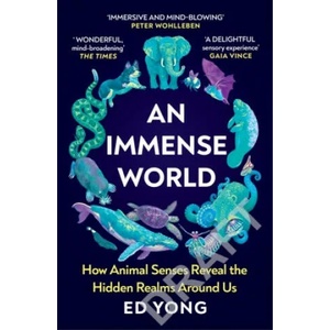 Immense World (2023)