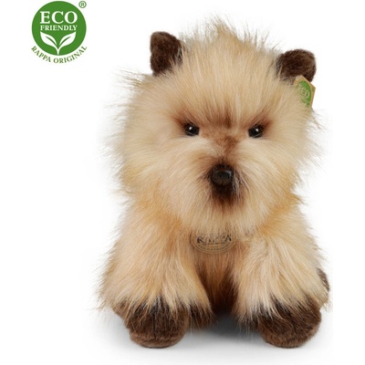 Eco-Friendly pes cairn teriér 30 cm
