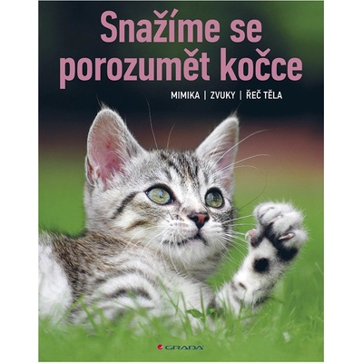 Snažíme se porozumět kočce