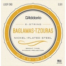 D'Addario EJ91