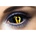 Fashion Lentilles sclera Xorn 22mm (FL-003)