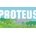 Proteus
