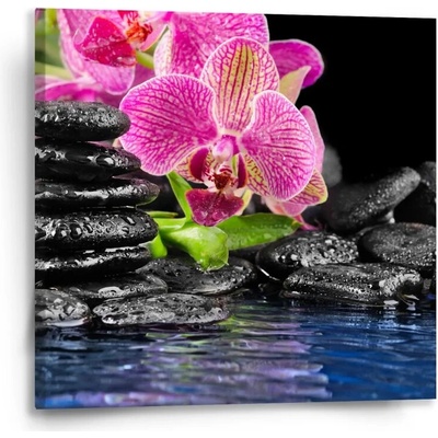 Sablio Obraz Orchidej na kamenech - 50x50 cm