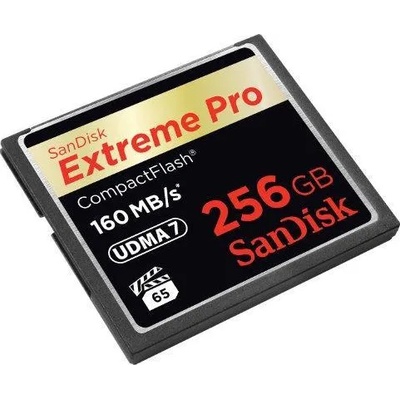 SanDisk CF Extreme Pro 256GB (SDCFXPS-256G-X46/123863)