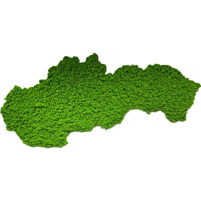 Machový obraz - mapa Slovenska Veľkosť: 150 x 75cm