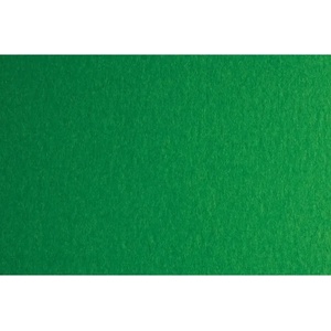 Fabriano Картон Colore, 50 x 70 cm, 200 g/m2, № 231, зелен (42303231/2_VERDE)