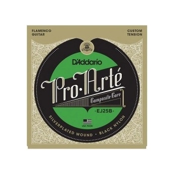 D'ADDARIO EJ25B