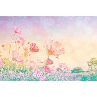 Dimex MS-5-2001 Vliesová fototapeta Vintage pastelové květy rozměry 375 x 250 cm
